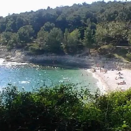 Mare